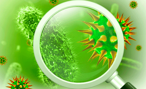 The Difference Between a Bacterial and Viral Infection