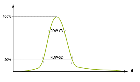 Ширина распределения эритроцитов (RDW). Кривая распределения эритроцитов по объему.